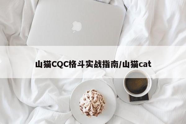 山猫CQC格斗实战指南/山猫cat