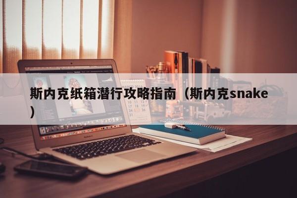 斯内克纸箱潜行攻略指南（斯内克snake）