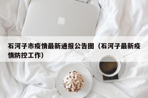 石河子市疫情最新通报公告图（石河子最新疫情防控工作）